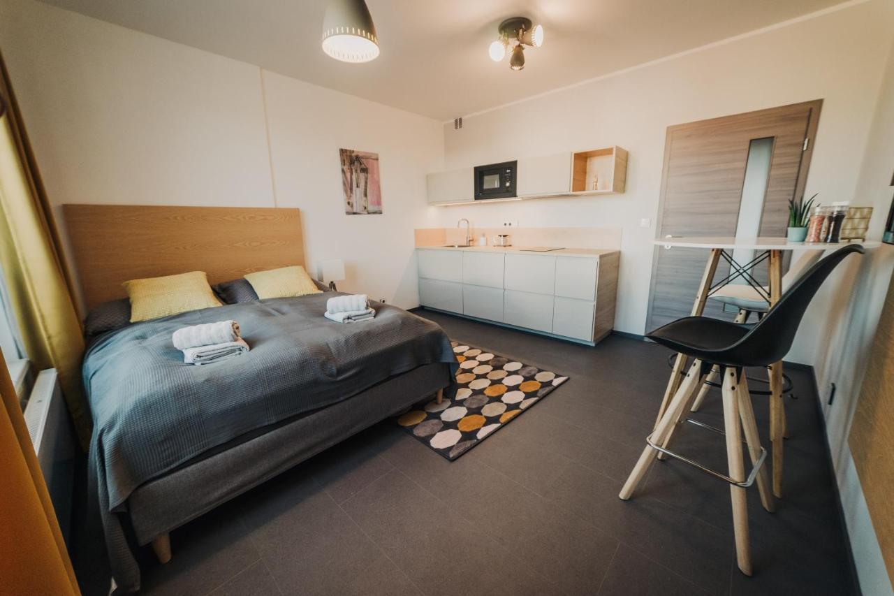 דירות פלזן Beautiful New Studio, 400M From The Square מראה חיצוני תמונה